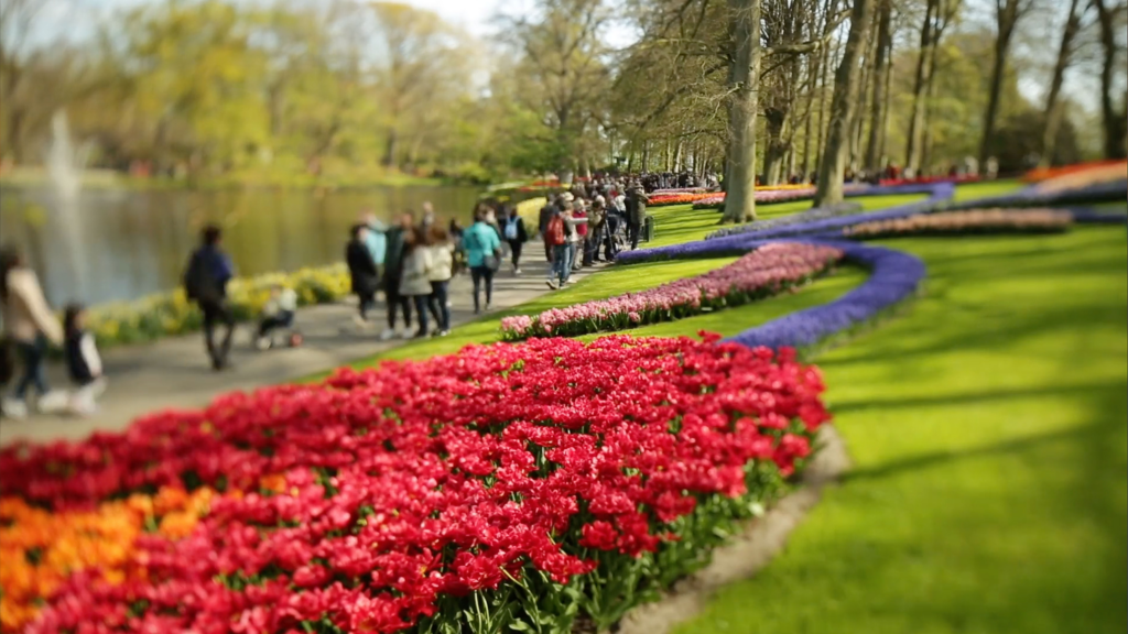 People visiting Keukenhof walking by the water