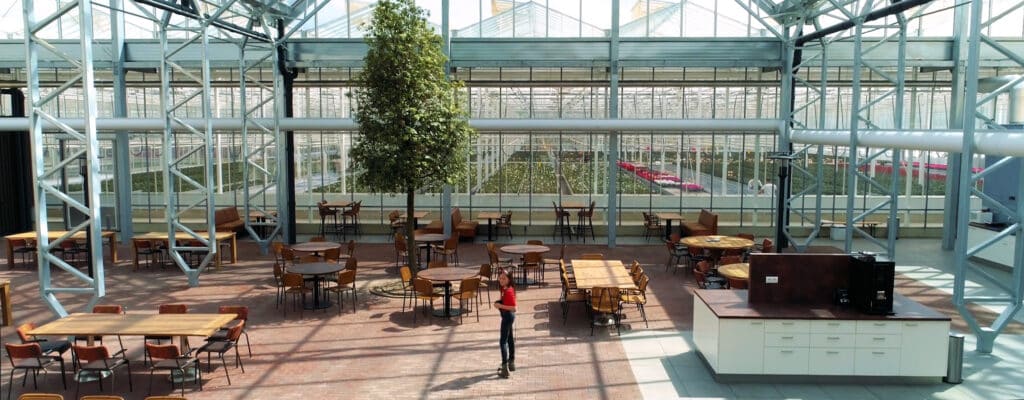 Girl standing in cafeteria of greenhouse