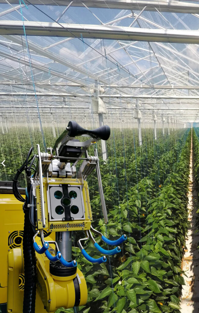 Sweeper robot with a greenhouse in the background