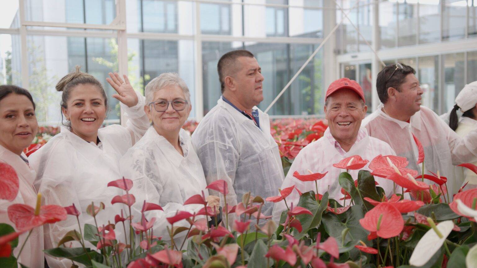 groep mensen in pakken in kas flower trials video contentkalender