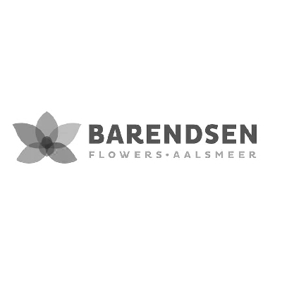 Barendsen