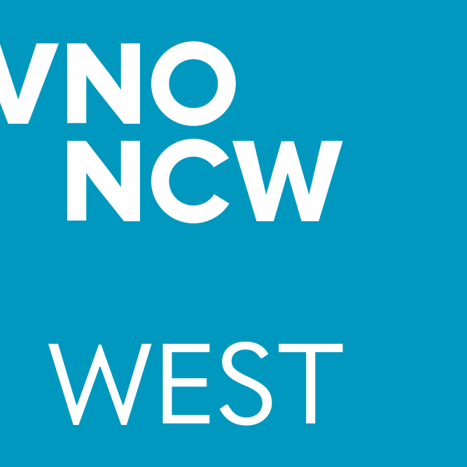 Favicon VNO